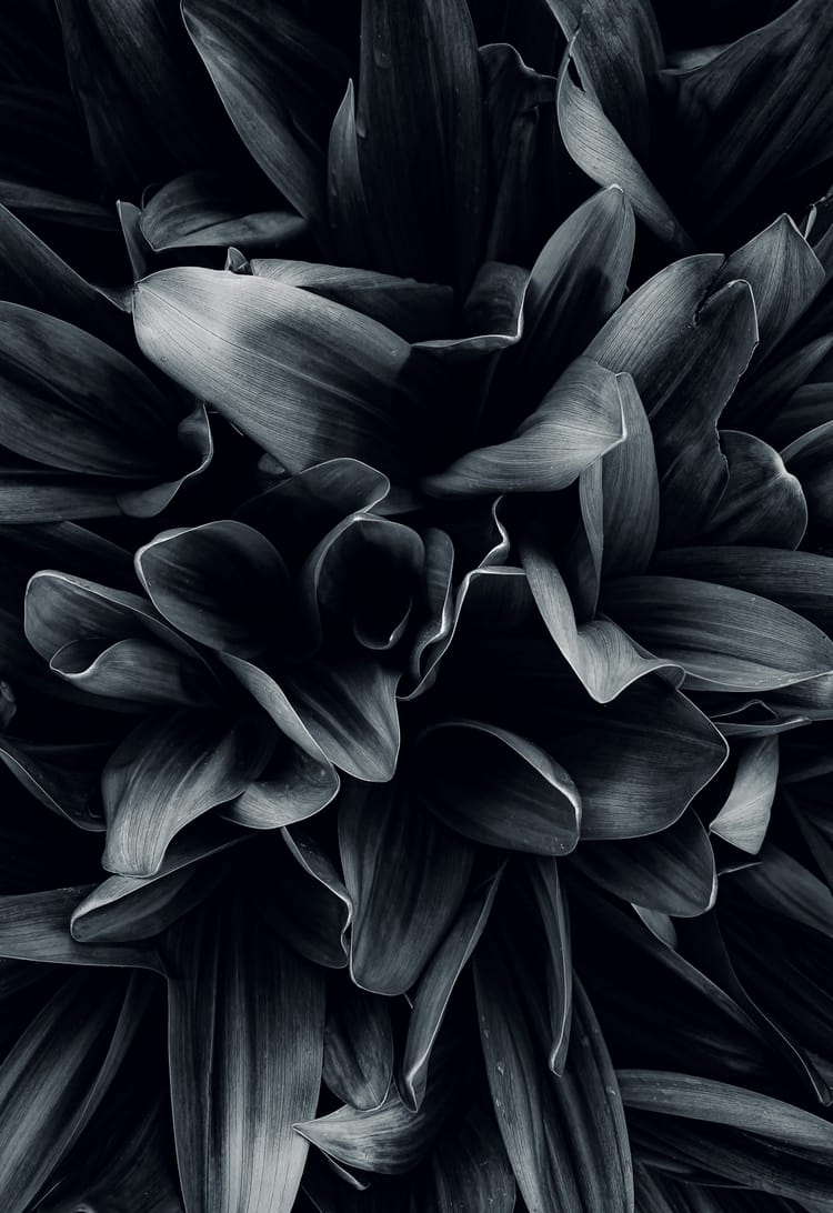 Mit-Gründer:in Growth – gut mit Zahlen, noch besser mit Menschen?